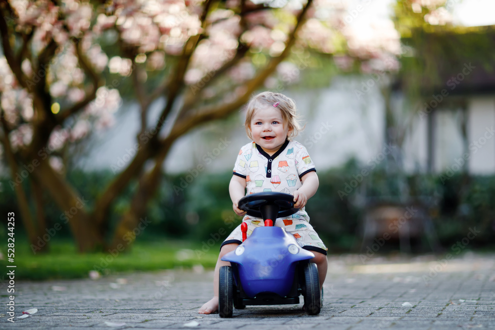 Fototapeta premium Cute little baby girl playing with blue small toy car in garden of home or nursery. Adorable beautiful toddler child with blossoming magnolia on background