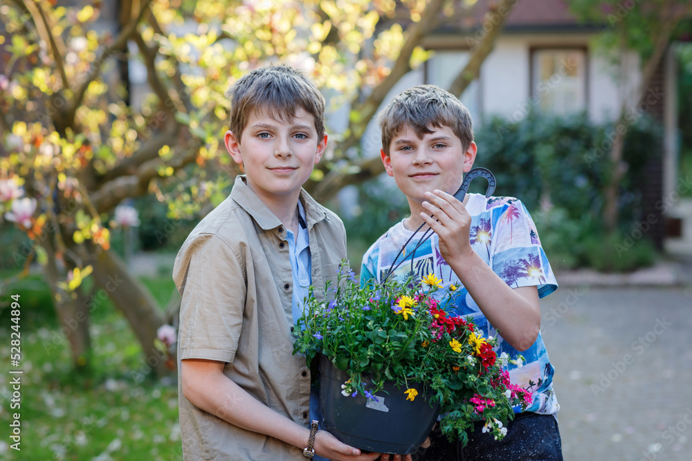 Two school kids boys with spring flowers in pot for mum as gift for mothers day. Happy children, two son with surprise for mama.