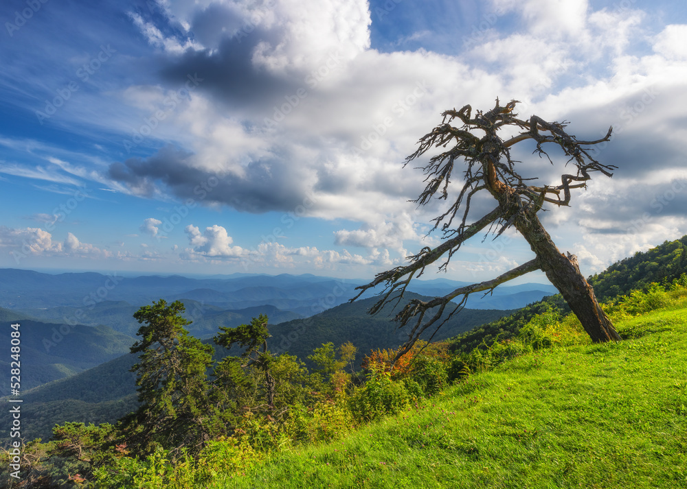 Obraz premium Blue Ridge Parkway Scenic Views in North Carolina, USA