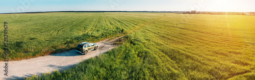 Fototapeta Naklejka Na Ścianę i Meble -  Aerial view of car SUV parked near countryside road in field rural landscape. Aerial view of car SUV parked near countryside road on a sunny summer evening. Panorama, panoramic view.
