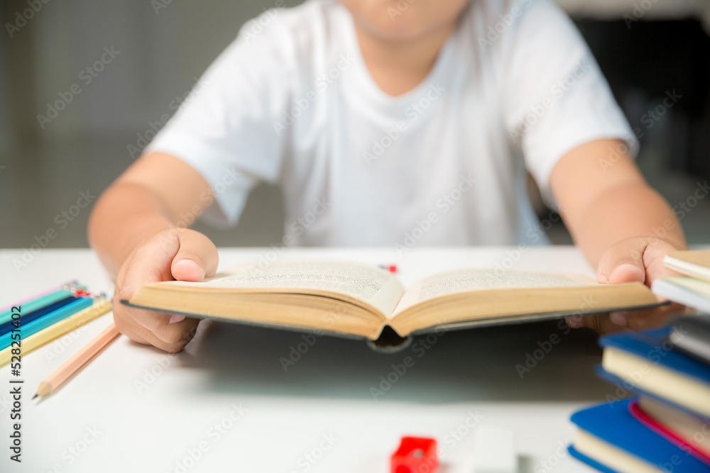 Boy person sitting study indoor at home, Male kid student online learning and doing homework on desk, young child reading and writing a book on table. concept of education, technology cyberspace Boy person sitting study indoor at home, Male kid student online learning and doing homework on desk, young child reading and writing a book on table. concept of education, technology cyberspace