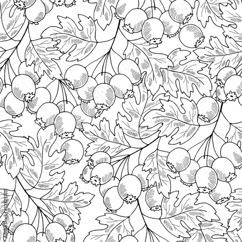 Hawthorn plant seamless pattern background graphic black white isolated sketch illustration vector 