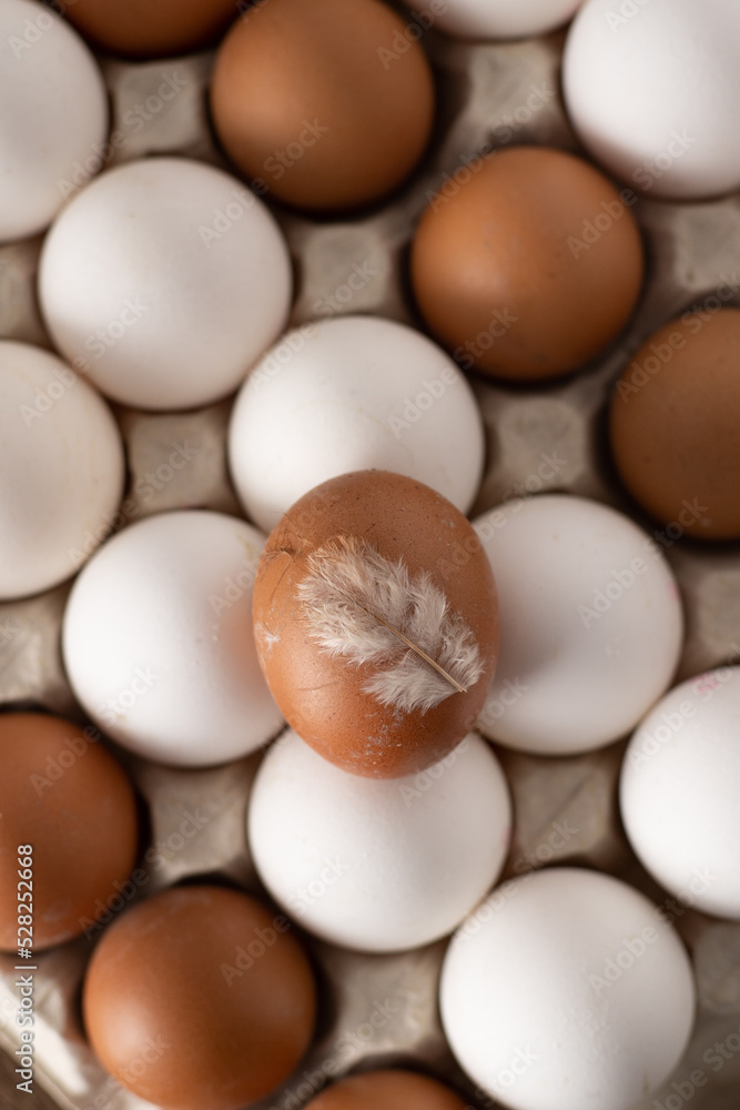 Egg background. White and brown eggs in a paper box tray. Protein food. Eco organic. Minimalism concept. Egg background. White and brown eggs in a paper box tray. Protein food. Eco organic. Minimalism concept.