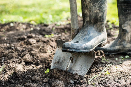 Man gardener digging whole to the land in the garden. Soil preparing for planting in spring. Gardening. Summer concept