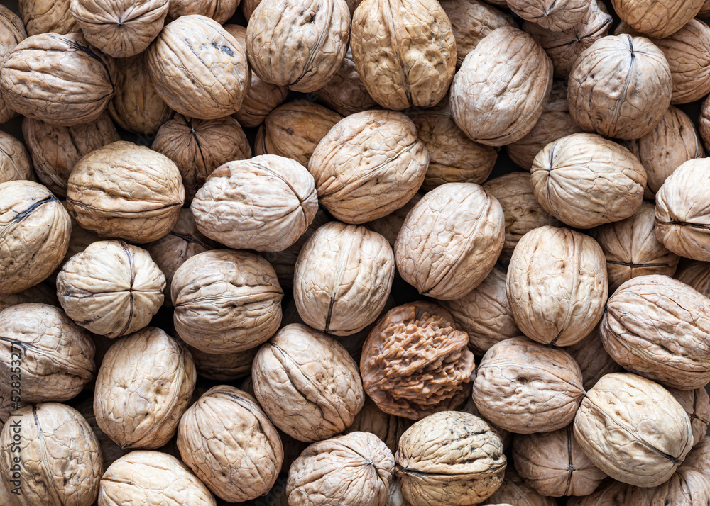 background of walnuts and one Manchurian Walnut background of walnuts and one Manchurian Walnut