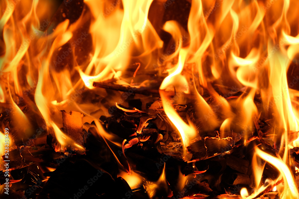 Feu avec de la braise en gros plan Feu avec de la braise en gros plan