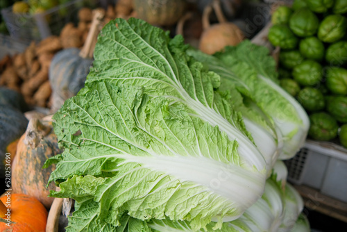 fresh mustard sold in the market
