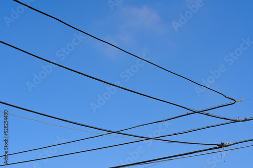Electric cables on blue sky © João Kermadec