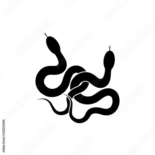 Snake icon isolated on white background