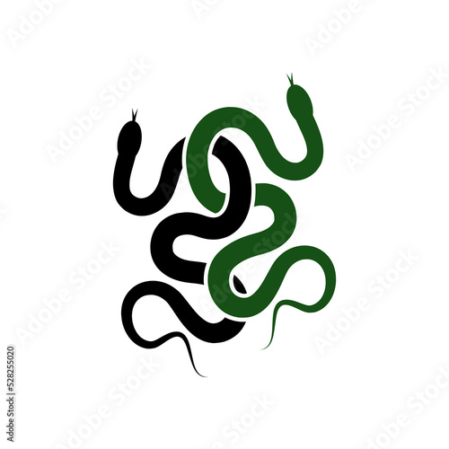 Snake icon isolated on white background