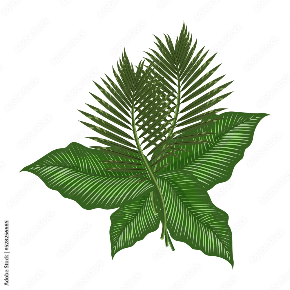 A tropical composition of leaves isolated on a white background.Vector illustration can be used in postcards, textiles, holiday designs. A tropical composition of leaves isolated on a white background.Vector illustration can be used in postcards, textiles, holiday designs.