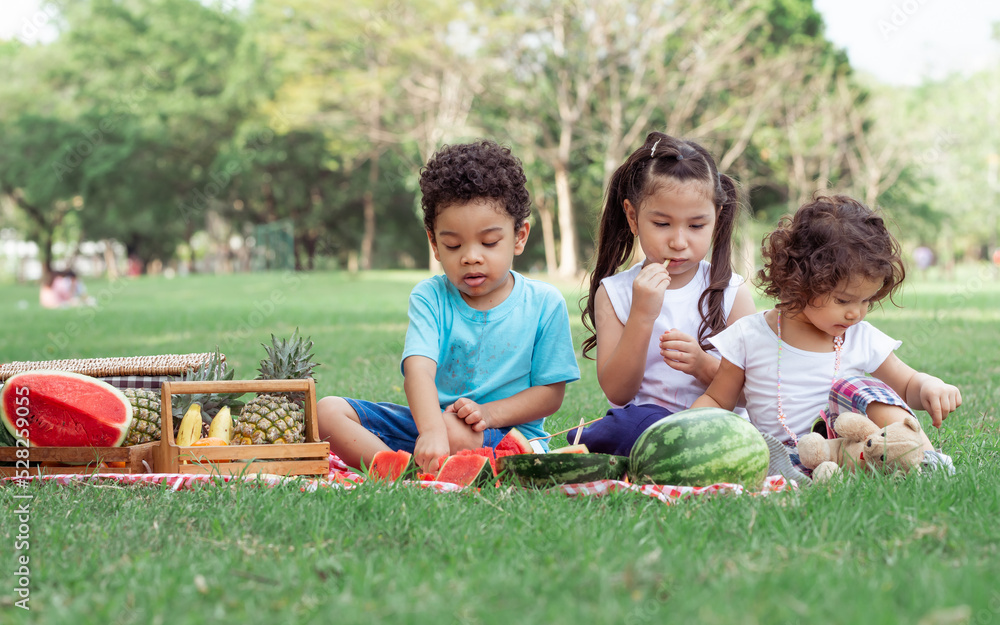 Fototapeta premium Three little mixed race kids consist of African and caucasian boys and girls smiling with happiness, fun amusement, playing, sitting for picnic and eating piece of watermelon fruit in outdoor garden.