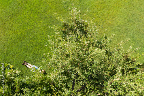 Wallpaper Mural Man sitting on the green grass under tree in a park. Top view, drone, aerial view Torontodigital.ca