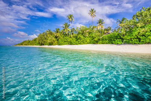 Maldives islands ocean tropical beach. Exotic sea lagoon, palm trees over white sand. Idyllic nature landscape. Amazing beach scenic shore, bright tropical summer sun and blue sky with light clouds