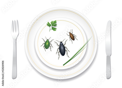 Eating bugs, insects, beetles. Noble fine porcelain crockery nicely prepared with three tasty bugs and healthy herbs. Delicious or disgusting meal. Vector illustration on white background. 
