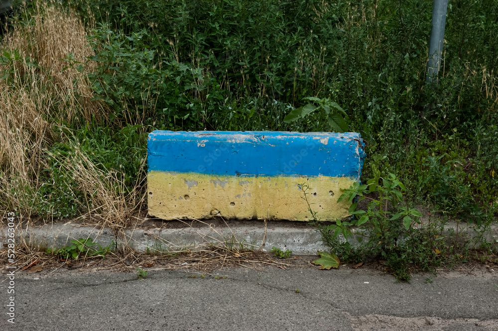 a blue and yellow concrete block (the colors of the Ukrainian flag) in a thicket of grass next to an asphalt road