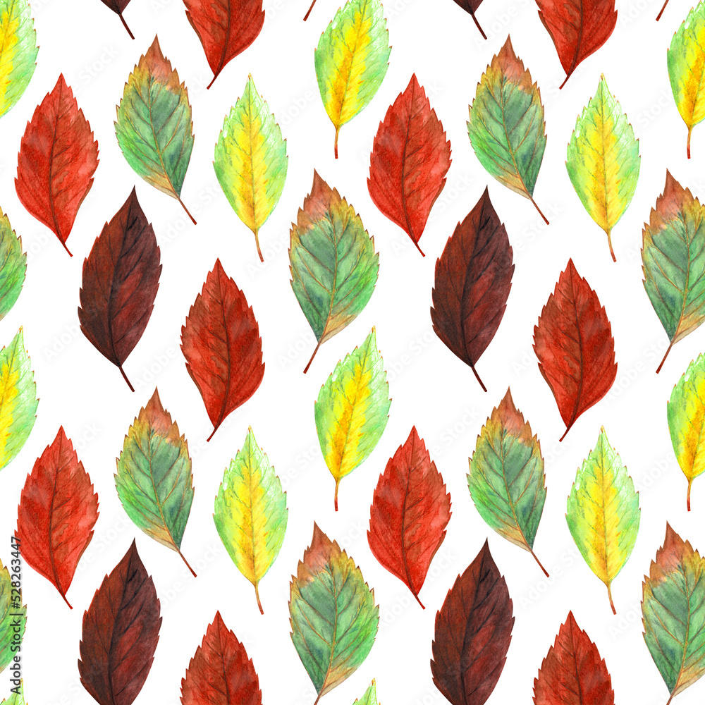 Fototapeta premium Watercolor hand drawn painted vertical rows of red, orange, burgundy, vinous, yellow, green multicolored autumn season leaves seamless pattern as fall background on white. Aquarelle web design 