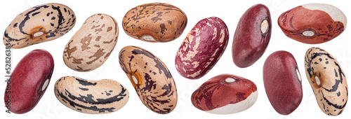 Schilderij op canvas Kidney beans collection, different types of legumes isolated on white background