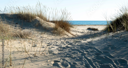 Dunes and footprints on a beach in Huelva, Spain with the Atlantic Ocean in the background