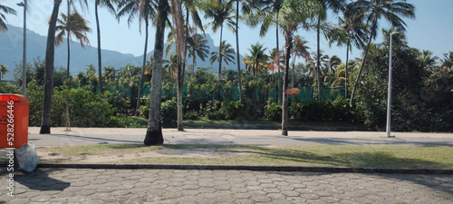 Landscape Lagoa Rodrigo de Freitas Rio de Janeiro city urban buildings mountain cars street traffic walk Christ the Redeemer postcard coconut trees trees coconut trees palm trees boats photo