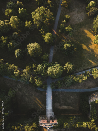 Bridge and Trees