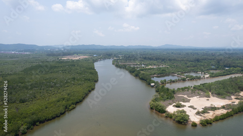 A bird's-eye view of the mangrove forest from a drone. © reewungjunerr