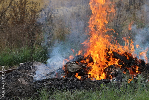 Wallpaper Mural fire in a field Torontodigital.ca