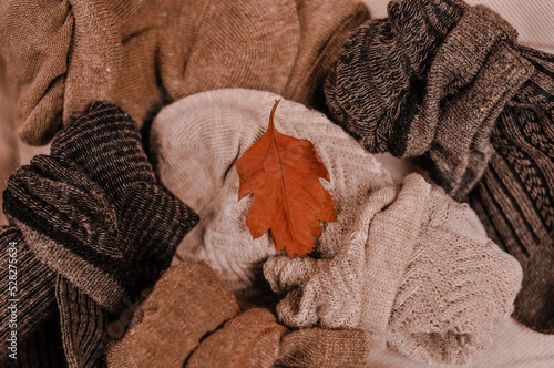 Close up of brown cotton socks autumn cozy clothing