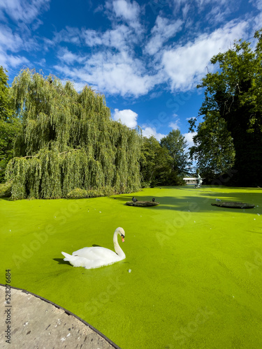 Beautiful landscape of the natural green pond and parkland in Southwark, London photo
