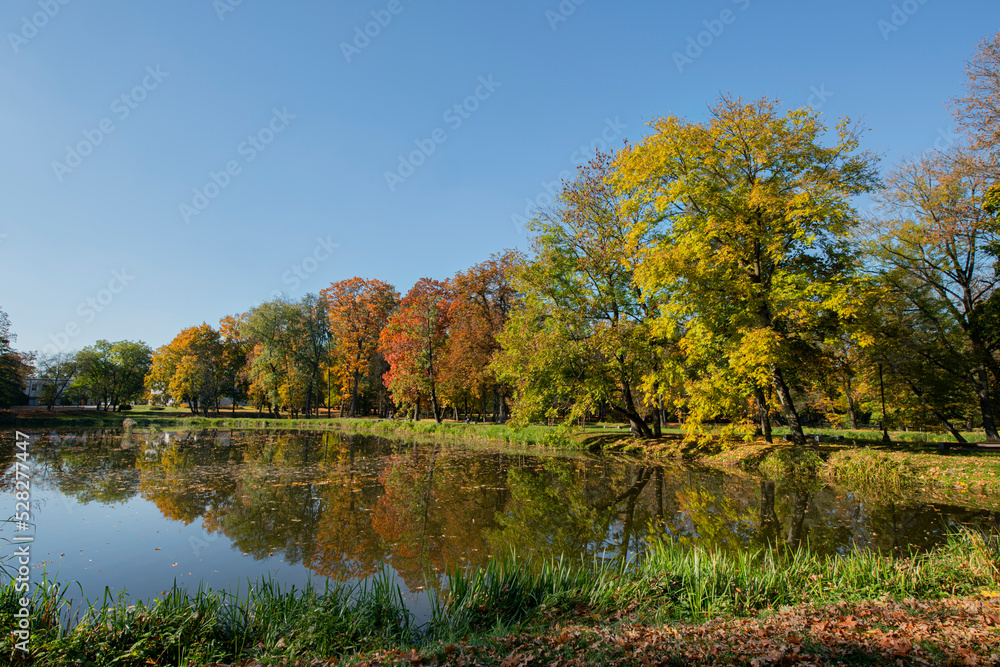 Fototapeta premium Beautiful and colorful autumn in the Dojlidy Park in Białystok