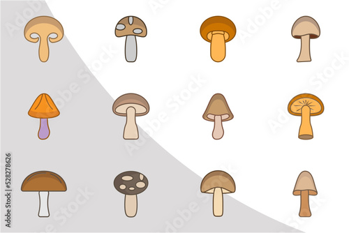 Wild Mushrooms Icons Color, Mushrooms Color Svg, Wild Mushroom Bundle, Icon Bundle, Fungi Svg, Mushroom, Svg Cut File,