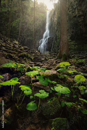 Burgbachwasserfall