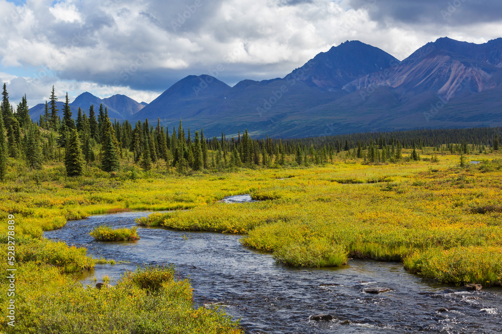 Obraz premium River on Alaska