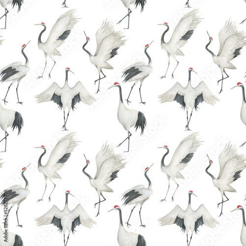 Watercolor seamless pattern with cranes. Hand drawn illustration on white background. Vintage print