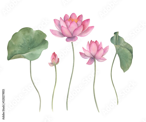 Canvas Print Watercolor set with lotus