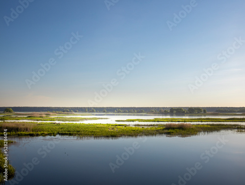 Scenic landscape with foggy river and forest on the horizon. Mystical morning landscape on the pond. Dawn over the lake.