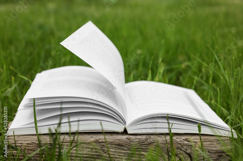 Open book on log among green grass outdoors