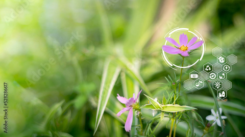 Blured green leave background and Smart technology with Internet of things futuristic agriculture concept, Sustainable energy, Metaverse, AI Futuristic Smart virtual interface.