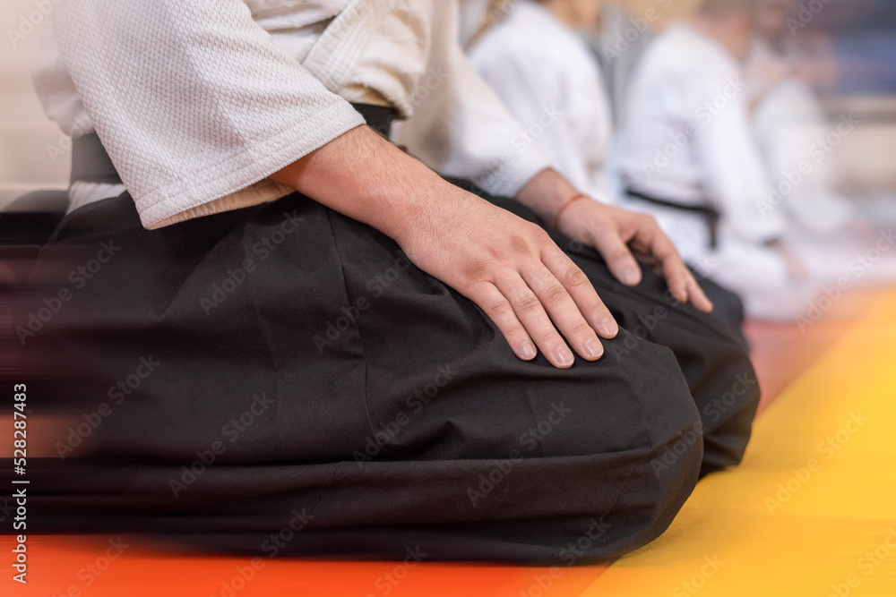 Fototapeta premium Martial arts lifestyle. A man wearing traditional aikido or karate clothing, white kimano and black hakame.