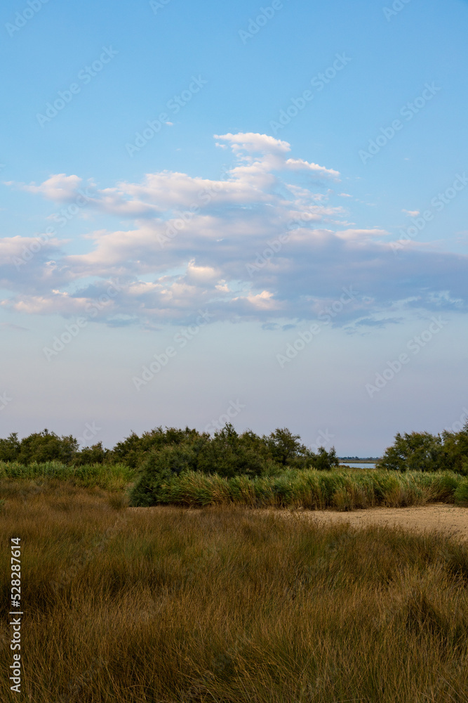 Petit marais de Candillargues au coucher du soleil, complètement asséché après l'été