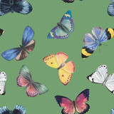 Watercolor butterflies on a green background. Seamless pattern. Butterflies drawn on paper for design, wallpapers, wrapping paper, textiles.