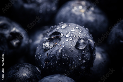 Obraz na płótnie Blueberry berry closeup. Background with blueberries. Blueberries with dew drops w salonie