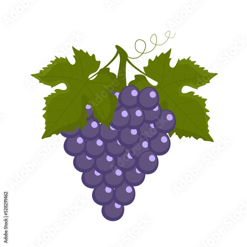 Purple grapes isolated on white background, flat style