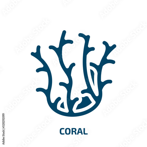 Photography coral vector icon