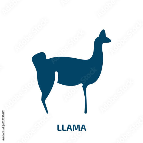 llama vector icon. llama  animal  cute filled icons from flat animals concept. Isolated black glyph icon  vector illustration symbol element for web design and mobile apps