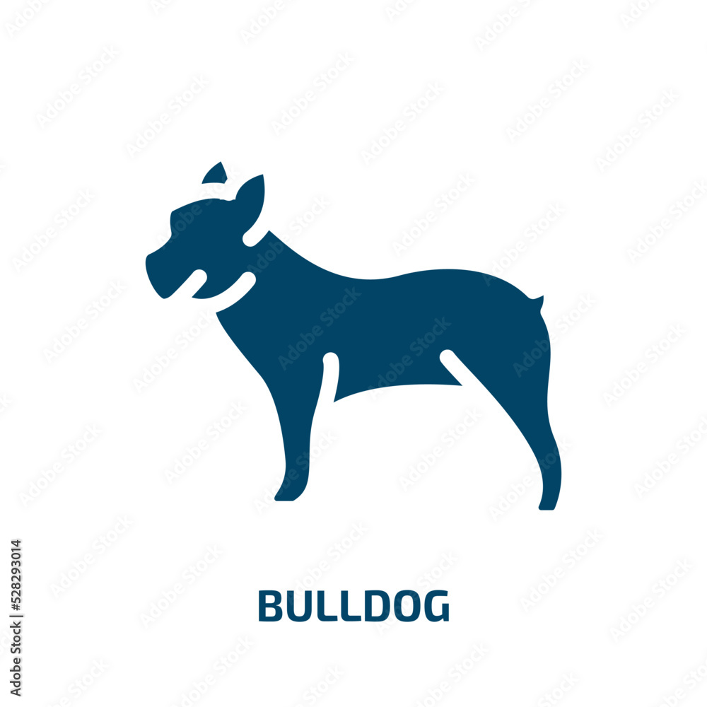 bulldog vector icon. bulldog, pet, animal filled icons from flat animals concept. Isolated black glyph icon, vector illustration symbol element for web design and mobile apps