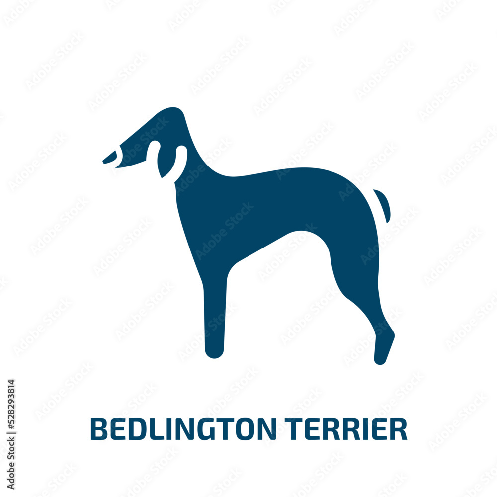 bedlington terrier vector icon. bedlington terrier, cute, animal filled icons from flat dog breeds fullbody concept. Isolated black glyph icon, vector illustration symbol element for web design and