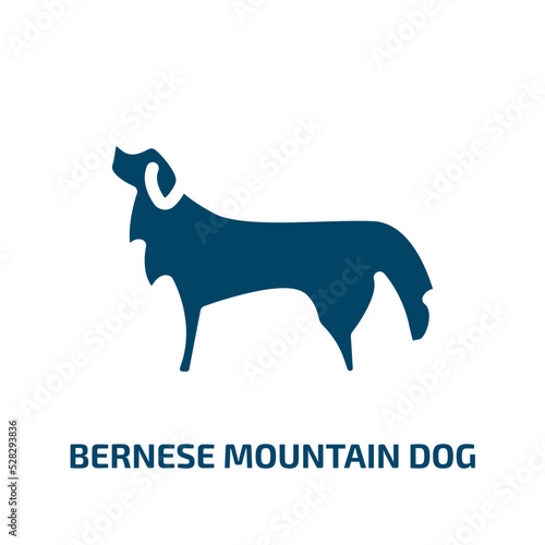 bernese mountain dog vector icon. bernese mountain dog, pet, animal filled icons from flat dog breeds heads concept. Isolated black glyph icon, vector illustration symbol element for web design and