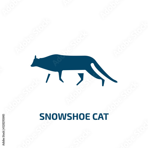 snowshoe cat vector icon. snowshoe cat, siamese, snowshoe filled icons from flat cat breed bodies concept. Isolated black glyph icon, vector illustration symbol element for web design and mobile apps