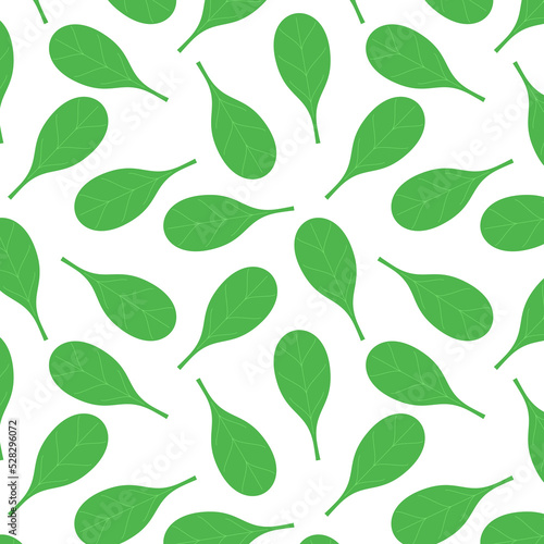 Basil vector. Basil on white background. Basil pattern.